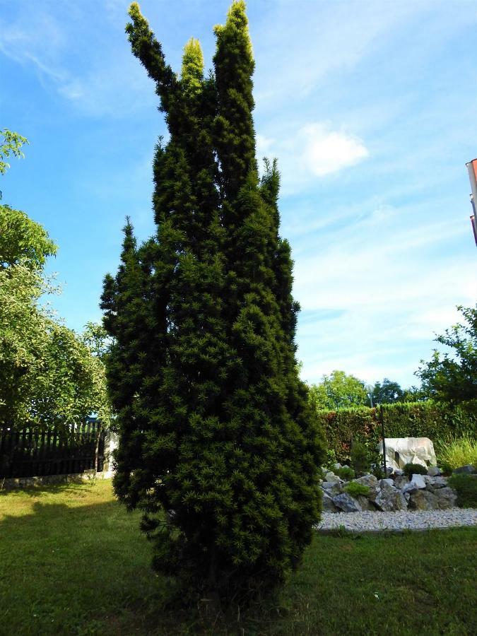 Sweet Dreams Apartment Varaždin Екстериор снимка